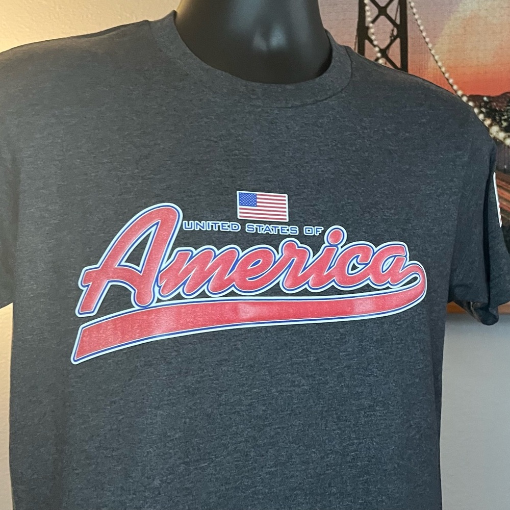 America 3d raised lettering .Small in grey. NWOT